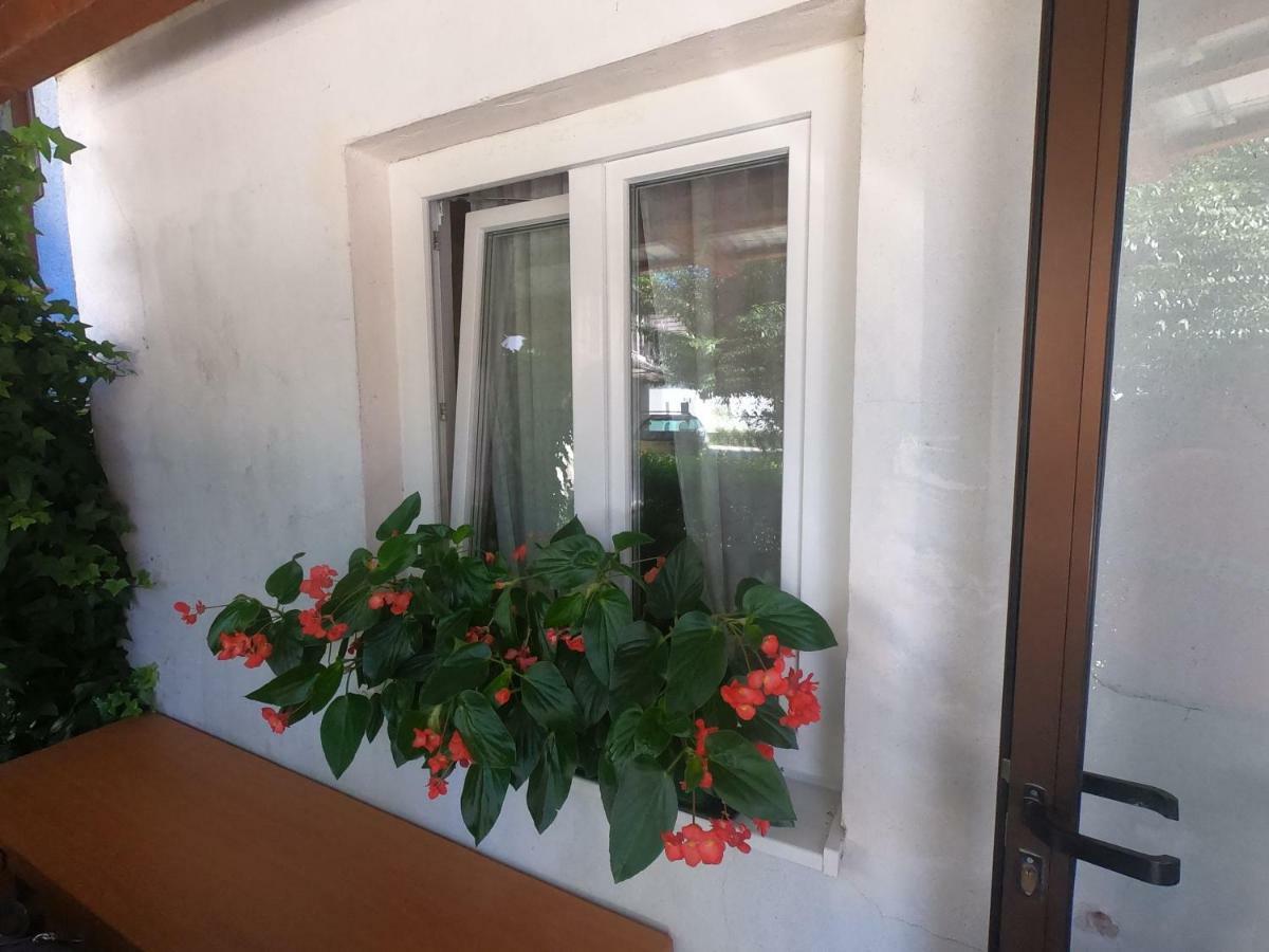 Appartamento Fontana Bovec Esterno foto