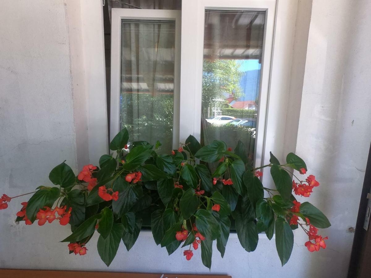 Appartamento Fontana Bovec Esterno foto